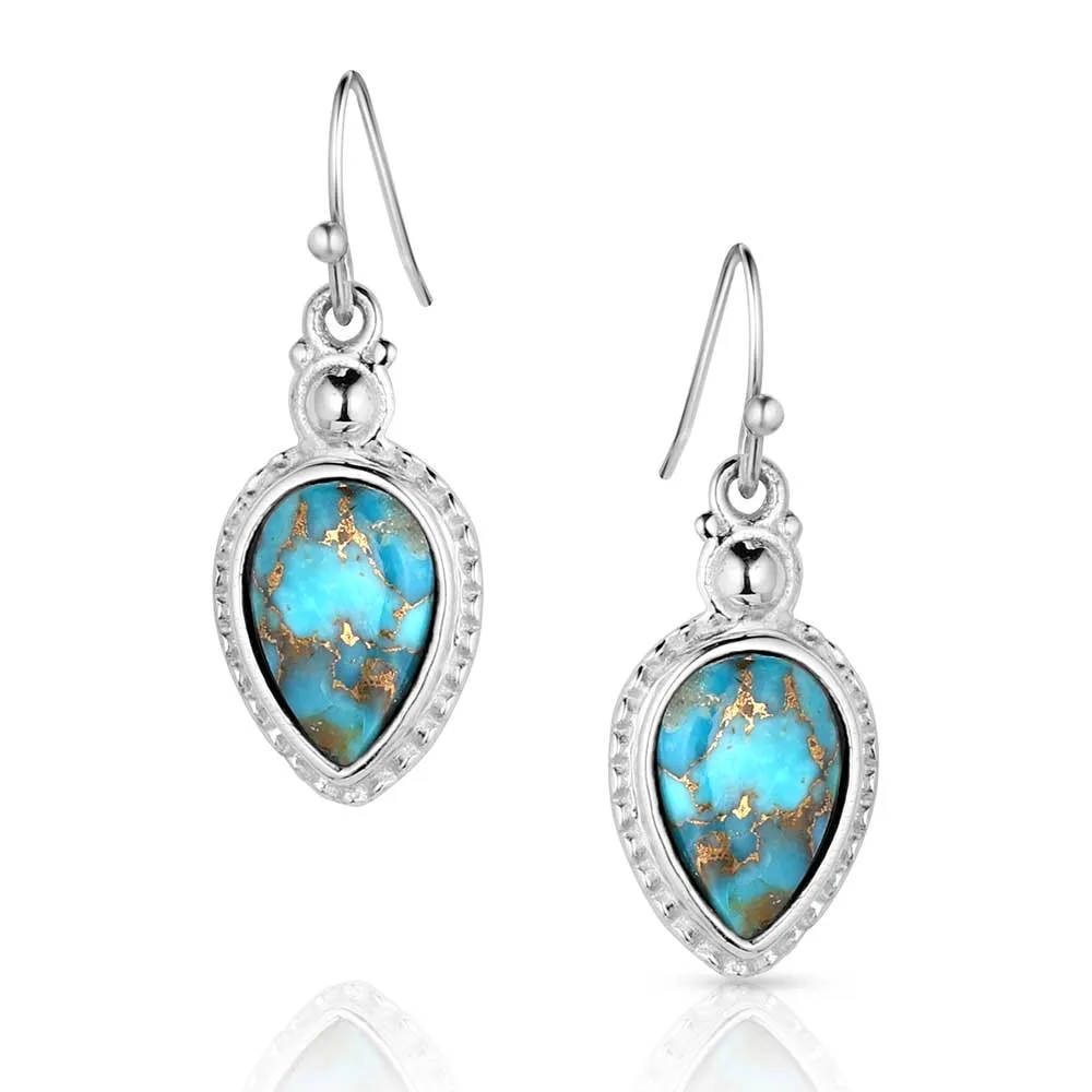 Expression Of The West Turquoise Earrings