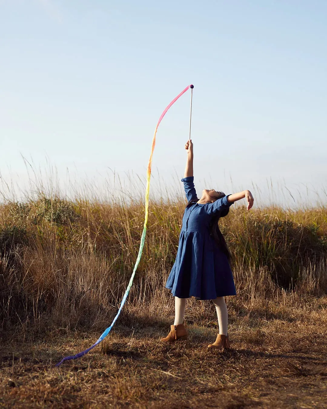 Large Rainbow Streamer