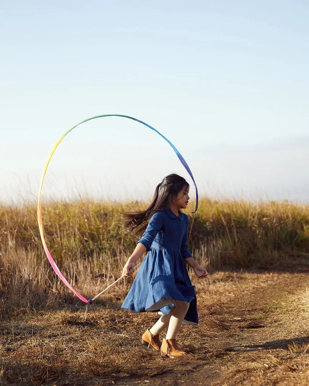 Large Rainbow Streamer